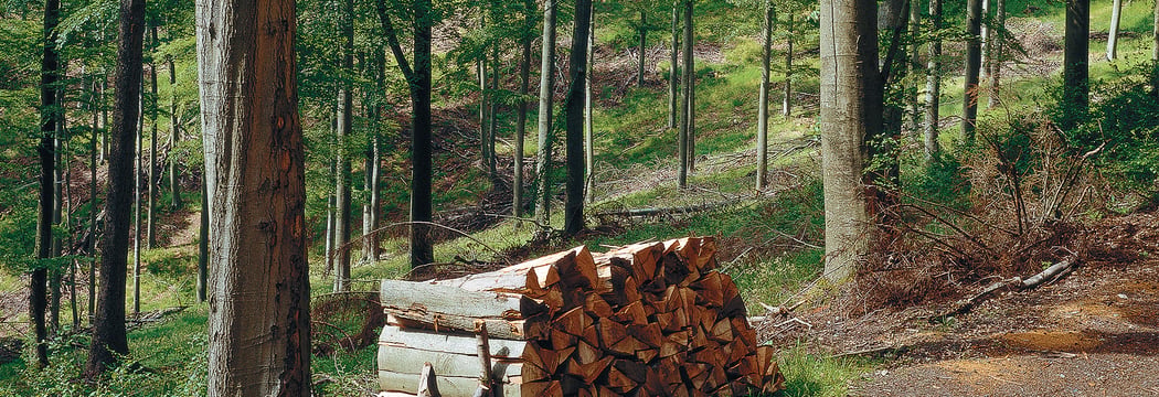 vitoligno-viessmann