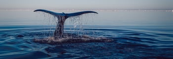 2020 il più caldo: priorità a riduzione delle emissioni