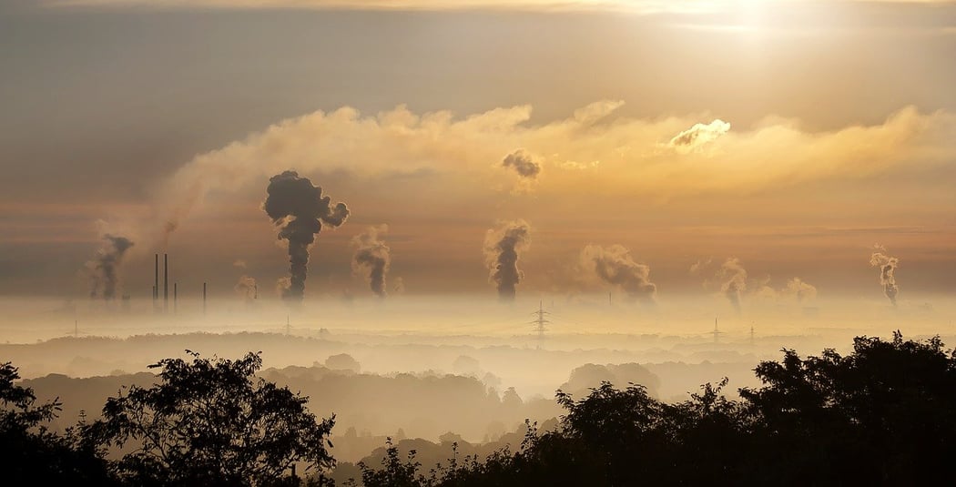 CO2 2021