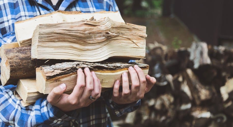 <span id="hs_cos_wrapper_name" class="hs_cos_wrapper hs_cos_wrapper_meta_field hs_cos_wrapper_type_text" style="" data-hs-cos-general-type="meta_field" data-hs-cos-type="text" >Caldaia a cippato: quando sceglierla per la propria casa</span>