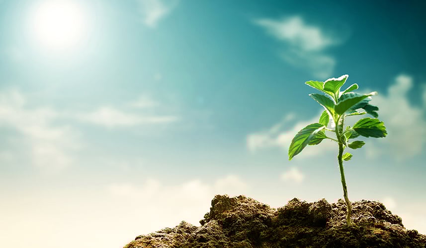 La sfida contro i cambiamenti climatici va vinta