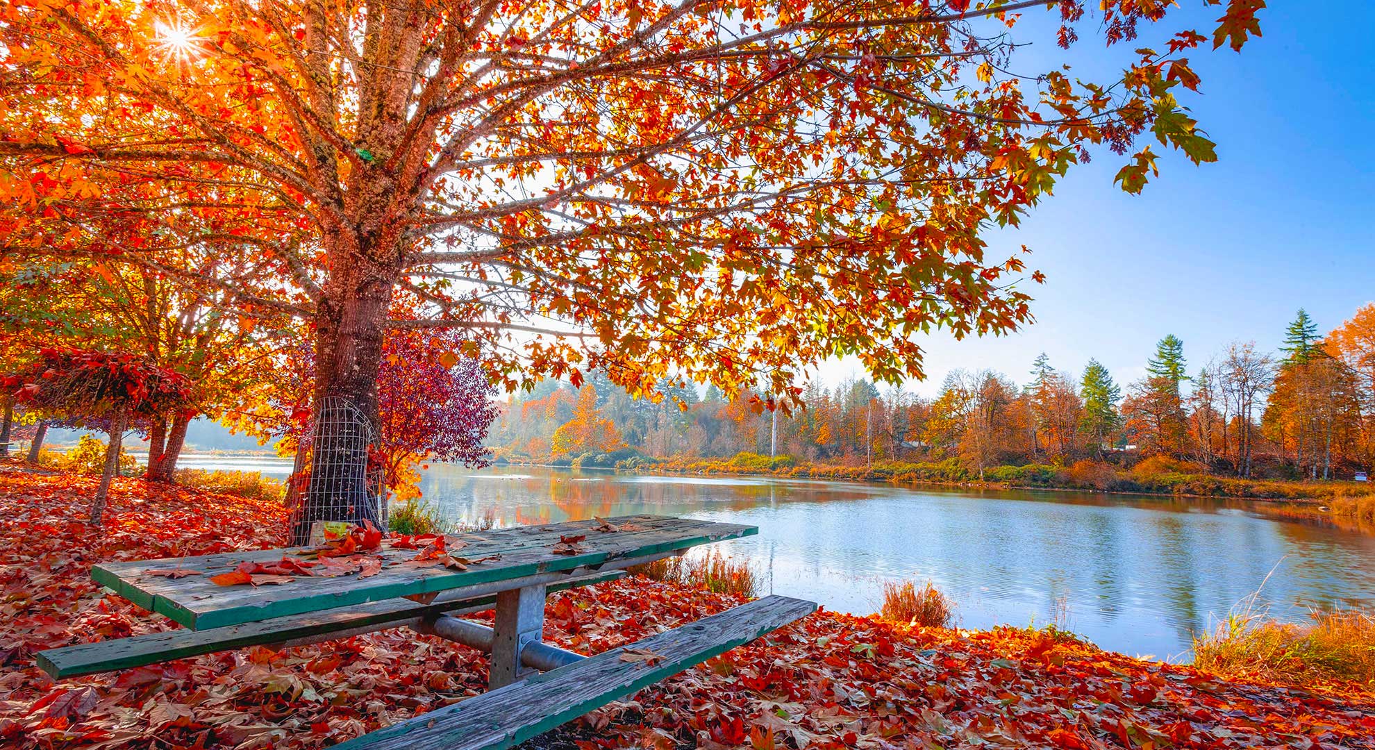 consigli-risparmio-energetico-mezza-stagione