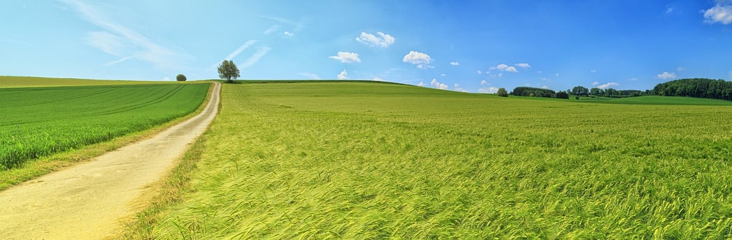 Comportamenti eco-sostenibili Italia