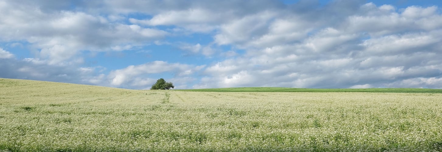 <span id="hs_cos_wrapper_name" class="hs_cos_wrapper hs_cos_wrapper_meta_field hs_cos_wrapper_type_text" style="" data-hs-cos-general-type="meta_field" data-hs-cos-type="text" >Combattere il ambiamento climatico: il lockdown non basta</span>