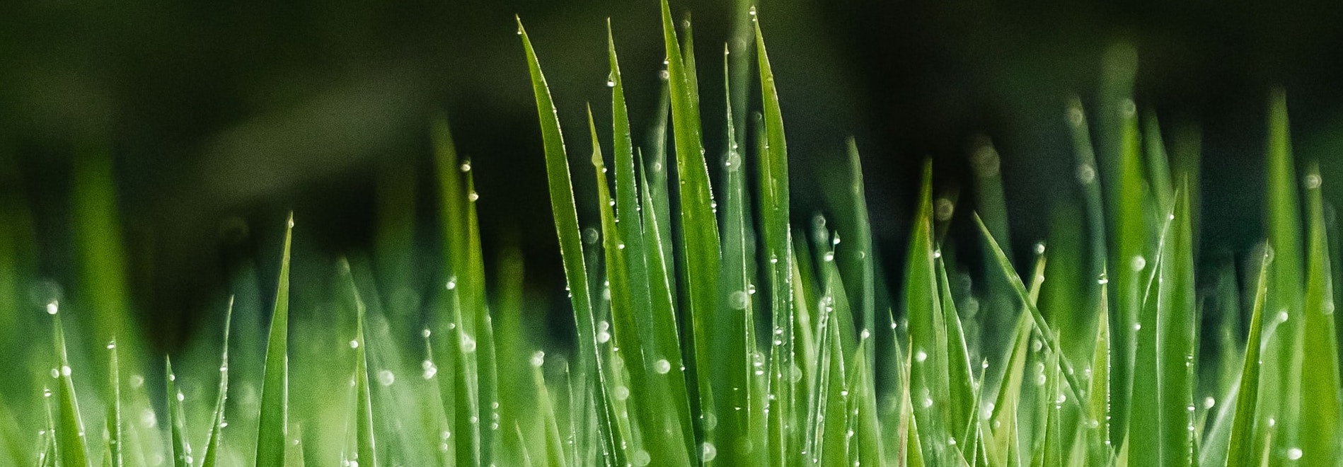 tecnologie energie rinnovabili