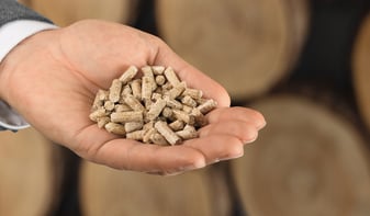 Caldaia-a-pellet-per-termosifoni-vantaggi-e-risparmi