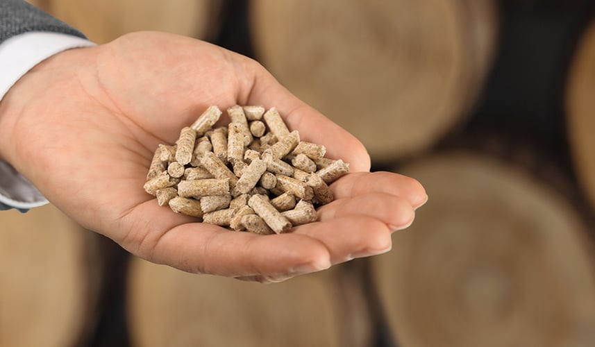 Caldaia a pellet per termosifoni: vantaggi e risparmi