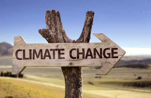 cambiamento-climatico-soluzioni-efficienti