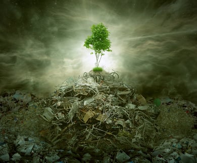 Green concept as a leaf tree on top of mountain heap of garbage with roots as an environment or conservation icon for waste management or new healthy beginning.