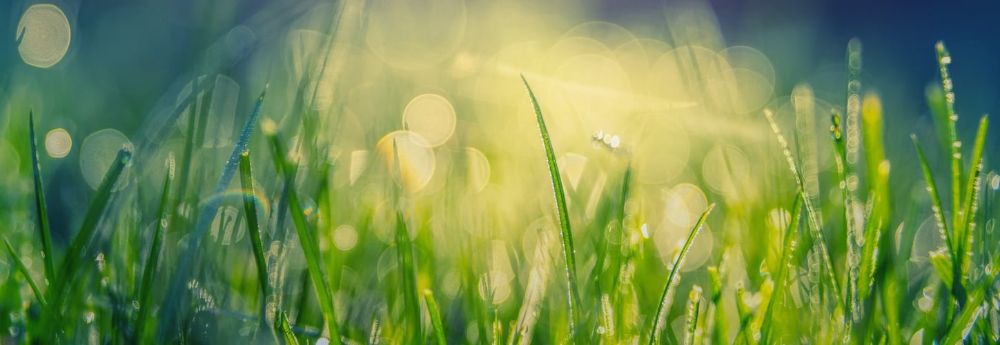 Fanno bene gli incentivi per l’efficienza energetica?