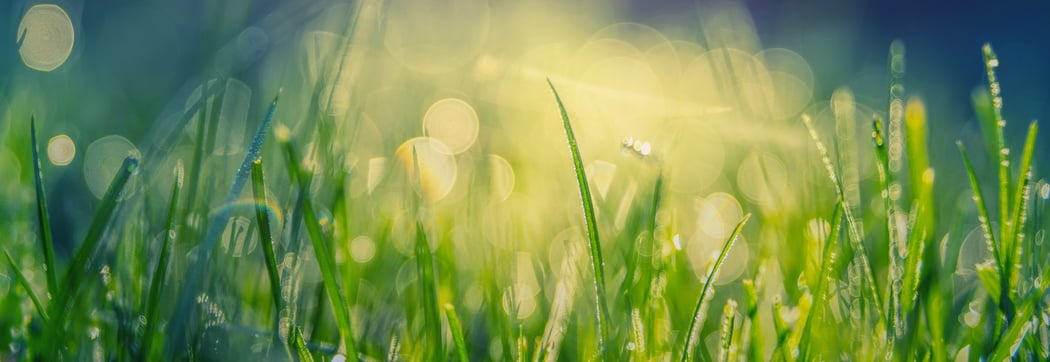 Incentivi efficienza energetica