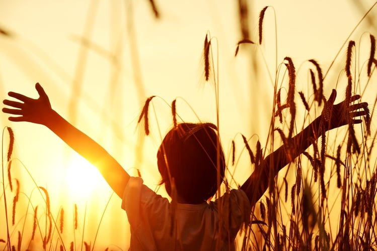 Fotovoltaico, ecco come la luce solare diventa elettricità