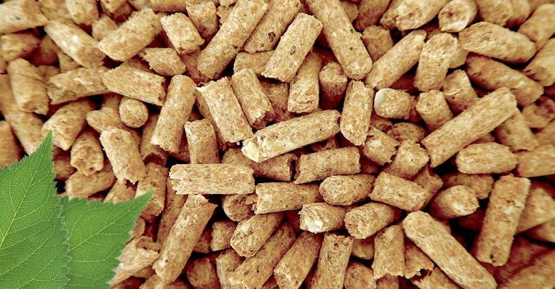 <span id="hs_cos_wrapper_name" class="hs_cos_wrapper hs_cos_wrapper_meta_field hs_cos_wrapper_type_text" style="" data-hs-cos-general-type="meta_field" data-hs-cos-type="text" >Caldaia a pellet: opinioni e strumenti per sceglierla</span>