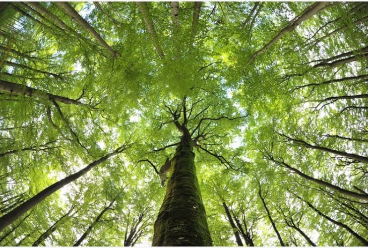 Riscaldamento senza gas. La pompa di calore quanto fa risparmiare?