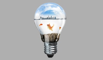 Come risparmiare energia elettrica, quello che devi sapere in 5 minuti