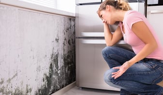 muffa-in-casa-cosa-fare-per-prevenirla-ed-eliminarla